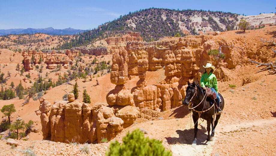 horserides1