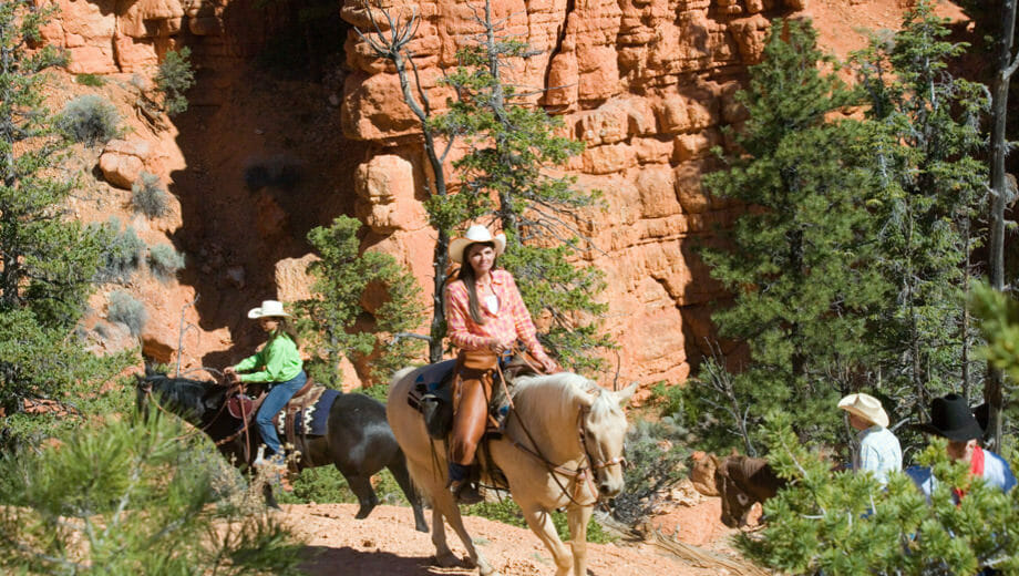 horserides2